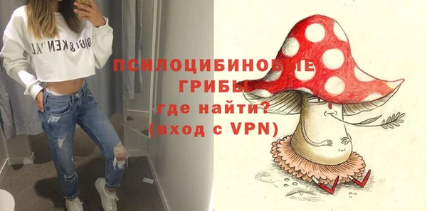 мдпв Дмитриев