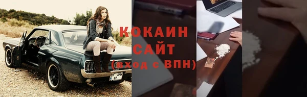 мдпв Дмитриев