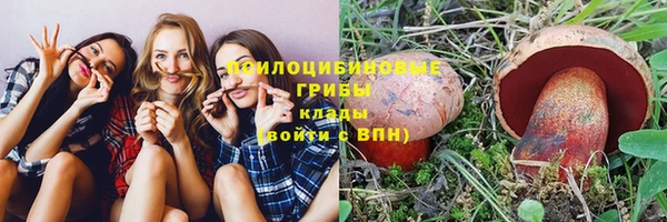 мдпв Дмитриев