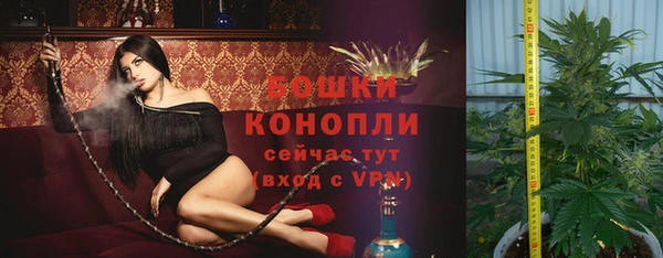 мдпв Дмитриев