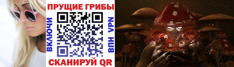 Купить где  Карачев  Галлюциногенные грибы Psilocybine cubensis 